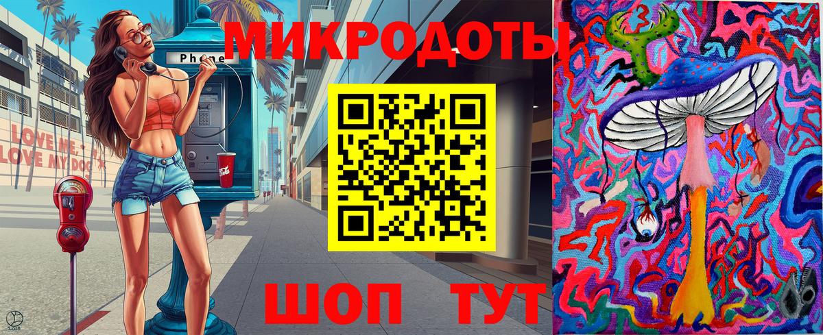 Псилоцибиновые грибы Psilocybe Бирск